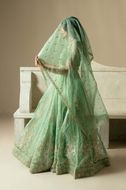Gull e Rimal